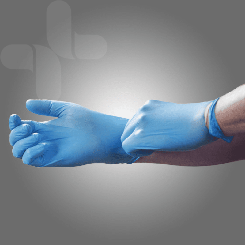 AEROGLOVE Large Nitrile Powder-Free Gloves Bag/2