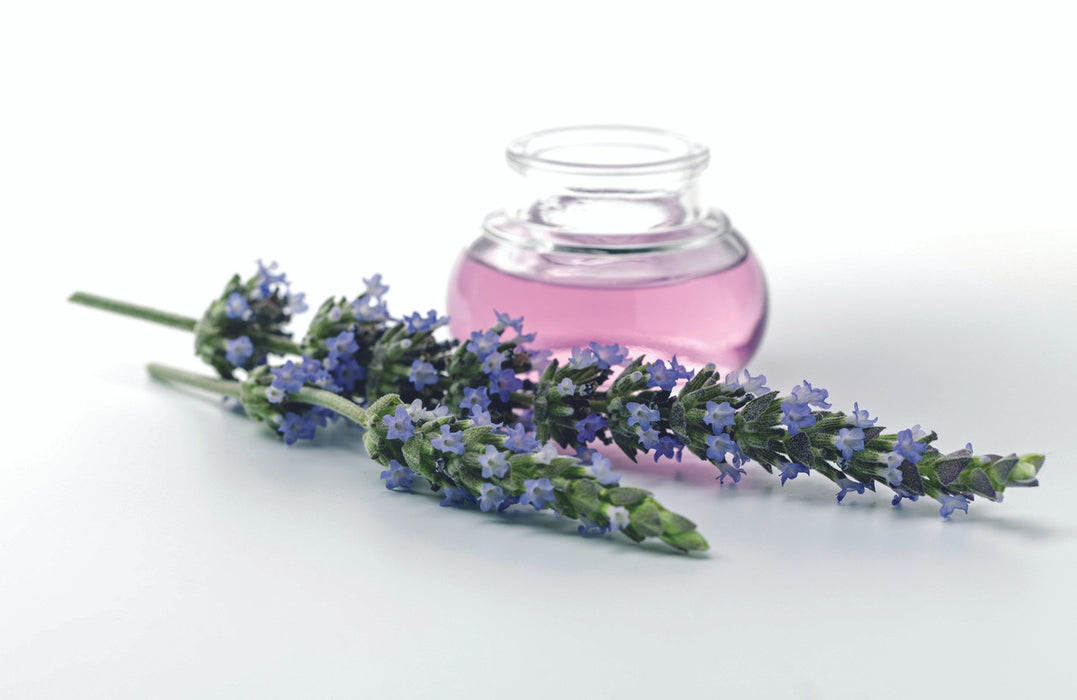 Hyscent Heritage Lavender Fields Invent (CTN 6)